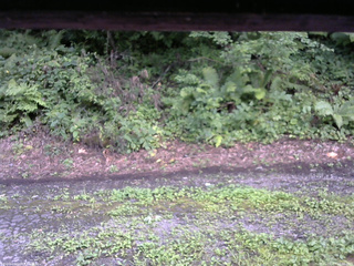 長野県菅平高原 ゆたか山荘 南側 2025/08/13 16:30