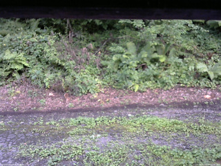 長野県菅平高原 ゆたか山荘 南側 2025/08/13 16:45