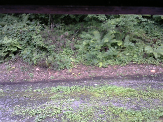 長野県菅平高原 ゆたか山荘 南側 2025/08/13 17:00