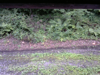 長野県菅平高原 ゆたか山荘 南側 2025/08/13 17:15