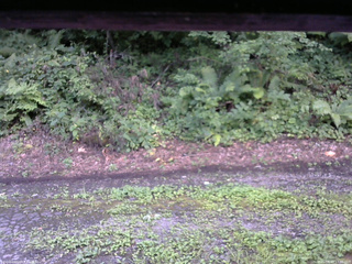 長野県菅平高原 ゆたか山荘 南側 2025/08/13 17:30