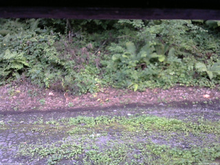 長野県菅平高原 ゆたか山荘 南側 2025/08/13 18:00