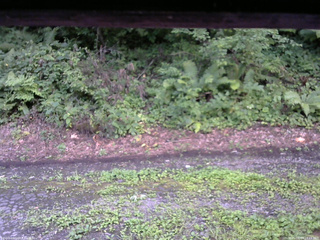 長野県菅平高原 ゆたか山荘 南側 2025/08/13 18:15