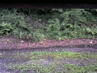 長野県菅平高原 ゆたか山荘 南側 2025/08/13 18:30