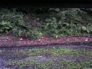 長野県菅平高原 ゆたか山荘 南側 2025/08/13 18:45