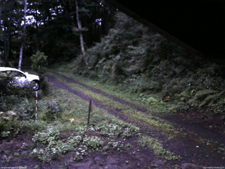 長野県菅平高原 ゆたか山荘 東側(坂下) 2025/08/13 05:00