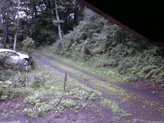 長野県菅平高原 ゆたか山荘 東側(坂下) 2025/08/13 05:15