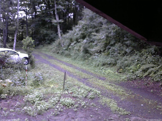 長野県菅平高原 ゆたか山荘 東側(坂下) 2025/08/13 05:30