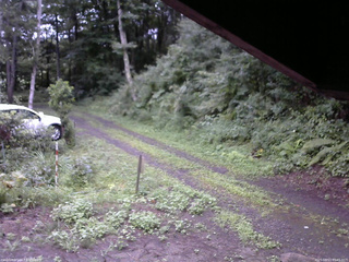 長野県菅平高原 ゆたか山荘 東側(坂下) 2025/08/13 05:45