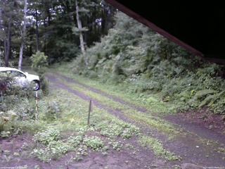 長野県菅平高原 ゆたか山荘 東側(坂下) 2025/08/13 06:00