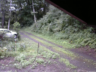 長野県菅平高原 ゆたか山荘 東側(坂下) 2025/08/13 06:30