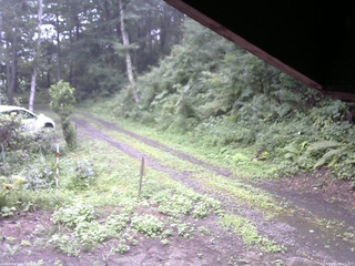 長野県菅平高原 ゆたか山荘 東側(坂下) 2025/08/13 08:15