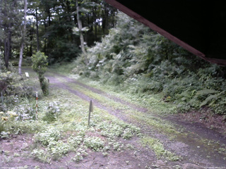 長野県菅平高原 ゆたか山荘 東側(坂下) 2025/08/13 09:15