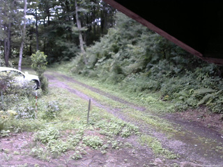 長野県菅平高原 ゆたか山荘 東側(坂下) 2025/08/13 10:45