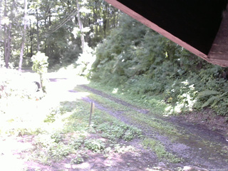 長野県菅平高原 ゆたか山荘 東側(坂下) 2025/08/13 11:00