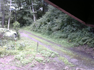 長野県菅平高原 ゆたか山荘 東側(坂下) 2025/08/13 12:00