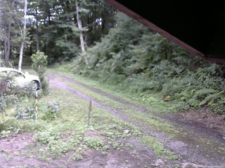長野県菅平高原 ゆたか山荘 東側(坂下) 2025/08/13 13:00