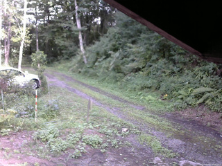 長野県菅平高原 ゆたか山荘 東側(坂下) 2025/08/13 15:30