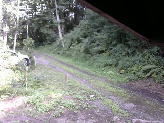 長野県菅平高原 ゆたか山荘 東側(坂下) 2025/08/13 16:00