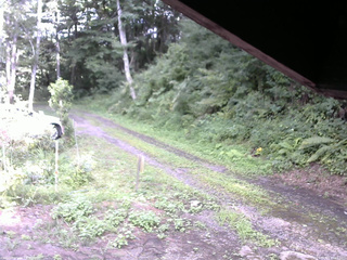 長野県菅平高原 ゆたか山荘 東側(坂下) 2025/08/13 16:15