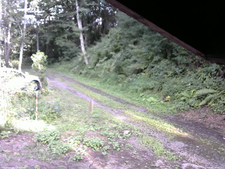 長野県菅平高原 ゆたか山荘 東側(坂下) 2025/08/13 16:30