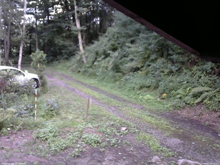 長野県菅平高原 ゆたか山荘 東側(坂下) 2025/08/13 18:15