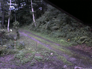 長野県菅平高原 ゆたか山荘 東側(坂下) 2025/08/13 18:45