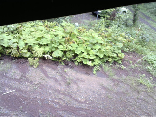 長野県菅平高原 ゆたか山荘 駐車場 2025/08/13 08:30