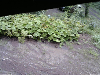 長野県菅平高原 ゆたか山荘 駐車場 2025/08/13 09:00