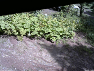 長野県菅平高原 ゆたか山荘 駐車場 2025/08/13 11:30