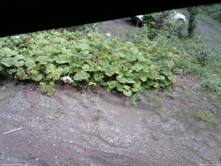 長野県菅平高原 ゆたか山荘 駐車場 2025/08/13 12:30