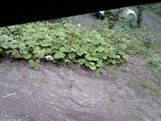 長野県菅平高原 ゆたか山荘 駐車場 2025/08/13 12:45