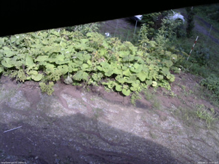 長野県菅平高原 ゆたか山荘 駐車場 2025/08/13 15:00