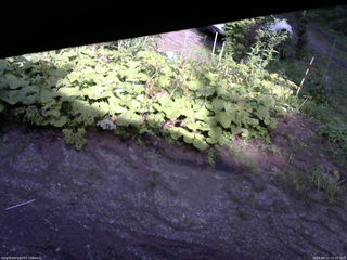 長野県菅平高原 ゆたか山荘 駐車場 2025/08/13 15:45