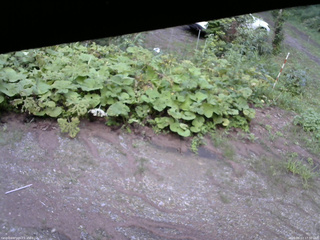 長野県菅平高原 ゆたか山荘 駐車場 2025/08/13 17:30