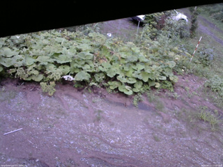 長野県菅平高原 ゆたか山荘 駐車場 2025/08/13 17:45