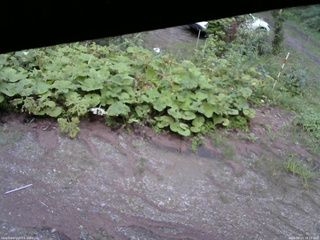 長野県菅平高原 ゆたか山荘 駐車場 2025/08/13 18:15