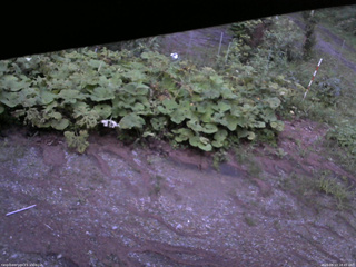 長野県菅平高原 ゆたか山荘 駐車場 2025/08/13 18:45