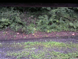 長野県菅平高原 ゆたか山荘 南側 2025/08/14 05:15