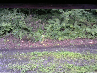 長野県菅平高原 ゆたか山荘 南側 2025/08/14 05:30