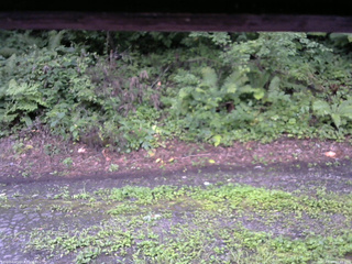 長野県菅平高原 ゆたか山荘 南側 2025/08/14 05:45