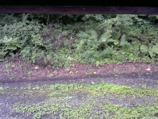 長野県菅平高原 ゆたか山荘 南側 2025/08/14 06:00