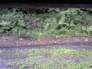 長野県菅平高原 ゆたか山荘 南側 2025/08/14 06:15