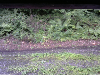 長野県菅平高原 ゆたか山荘 南側 2025/08/14 06:30