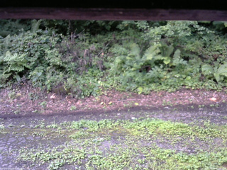 長野県菅平高原 ゆたか山荘 南側 2025/08/14 07:00