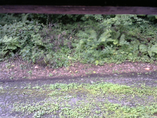 長野県菅平高原 ゆたか山荘 南側 2025/08/14 07:15