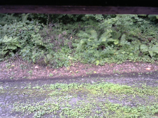 長野県菅平高原 ゆたか山荘 南側 2025/08/14 07:30