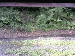 長野県菅平高原 ゆたか山荘 南側 2025/08/14 07:45