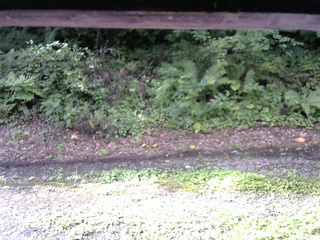 長野県菅平高原 ゆたか山荘 南側 2025/08/14 08:15