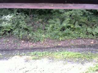 長野県菅平高原 ゆたか山荘 南側 2025/08/14 08:30